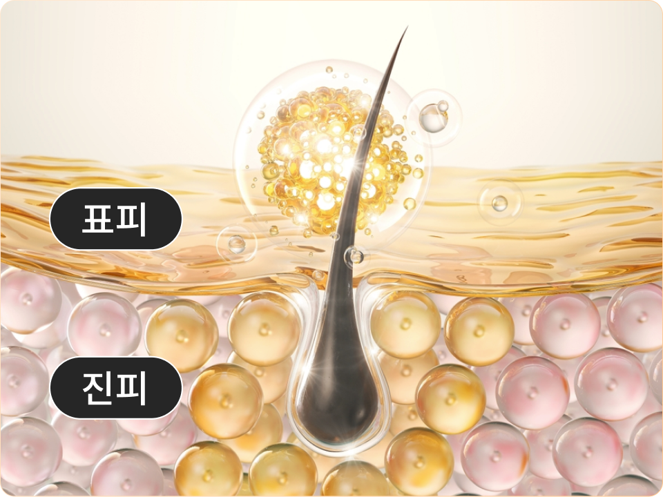 리엔장 셀피어스X 프리미엄 스킨부스터 인포그래픽 모바일