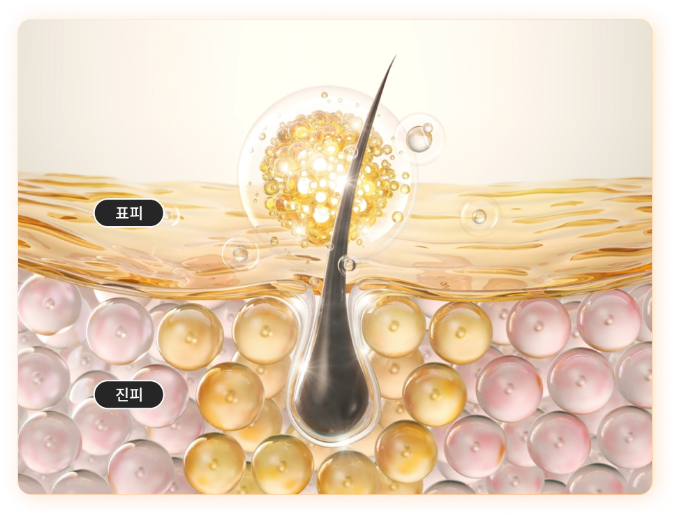 리엔장 셀피어스X 프리미엄 스킨부스터 인포그래픽